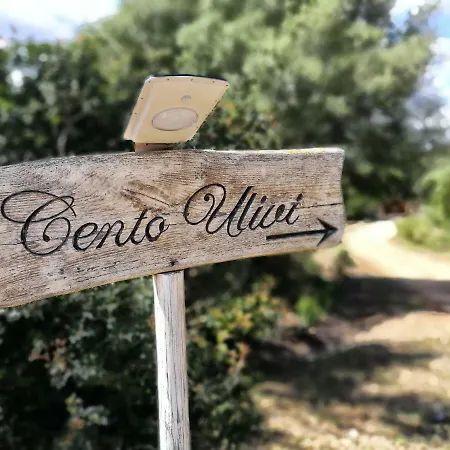 Cento Ulivi Bed & Breakfast