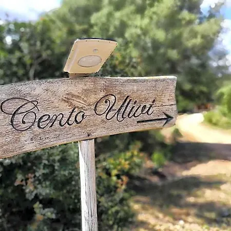 Cento Ulivi Bed & Breakfast