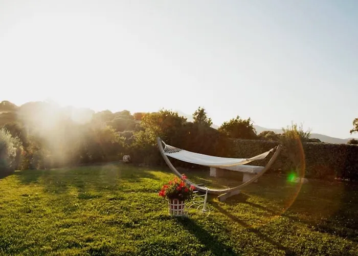 Bed & Breakfast Cento Ulivi Golfo Aranci