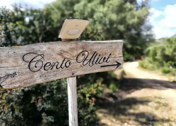 Cento Ulivi 住宿加早餐酒店